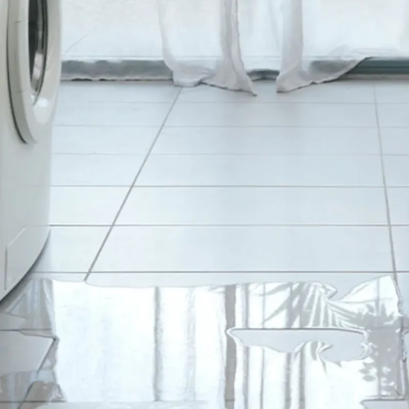 Appliance Leak Cleanup in Kildeer, IL
