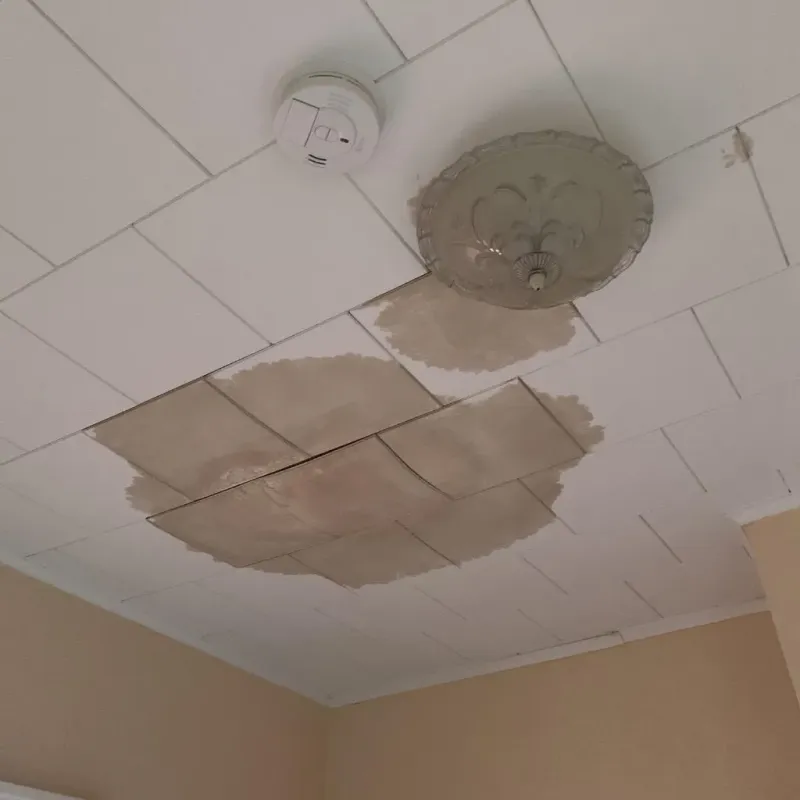 Ceiling Water Damage Repair in Kildeer, IL